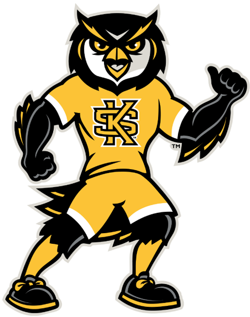 Kennesaw State Owls 2012-Pres Mascot Logo t shirts iron on transfers